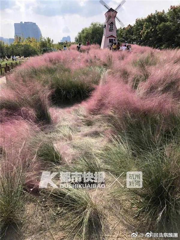 [MK体育在线]