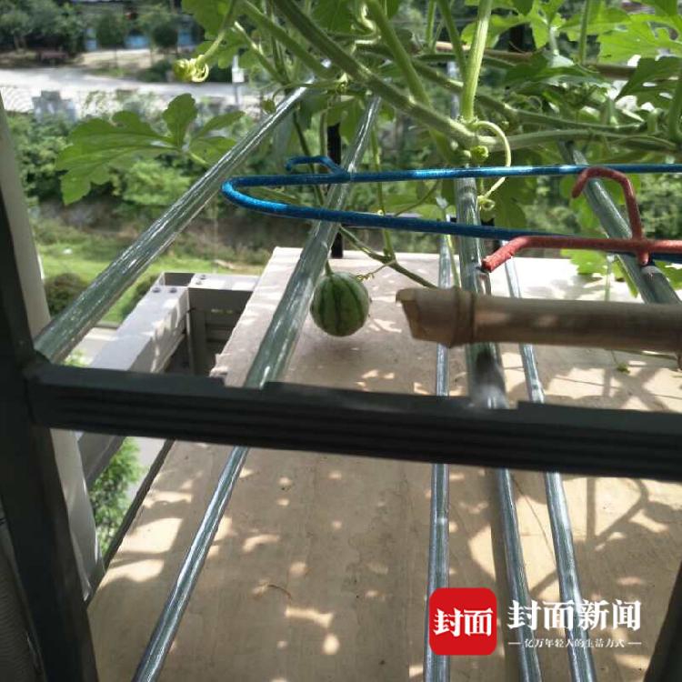 赛博朋克2077你要战便来战属性是什么