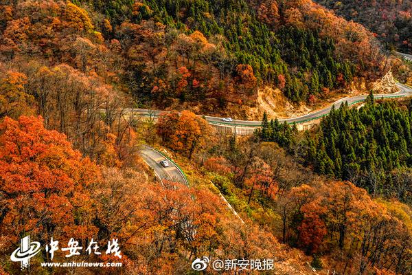 无主之地3重型武器独特武器都有什么